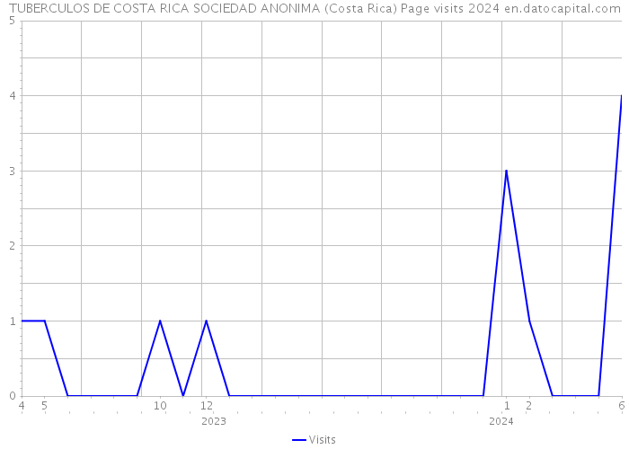 TUBERCULOS DE COSTA RICA SOCIEDAD ANONIMA (Costa Rica) Page visits 2024 