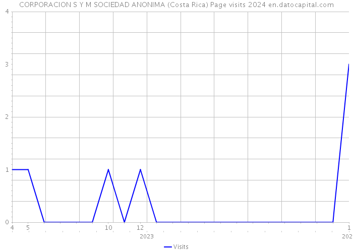 CORPORACION S Y M SOCIEDAD ANONIMA (Costa Rica) Page visits 2024 