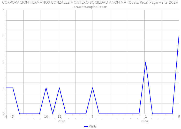 CORPORACION HERMANOS GONZALEZ MONTERO SOCIEDAD ANONIMA (Costa Rica) Page visits 2024 