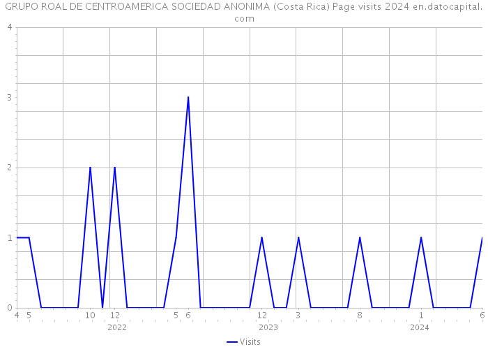 GRUPO ROAL DE CENTROAMERICA SOCIEDAD ANONIMA (Costa Rica) Page visits 2024 