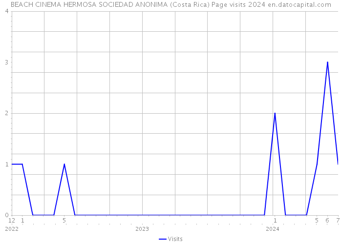 BEACH CINEMA HERMOSA SOCIEDAD ANONIMA (Costa Rica) Page visits 2024 