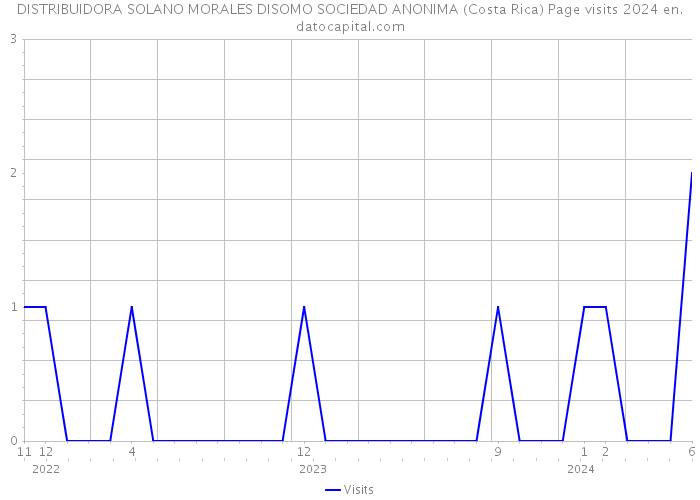 DISTRIBUIDORA SOLANO MORALES DISOMO SOCIEDAD ANONIMA (Costa Rica) Page visits 2024 