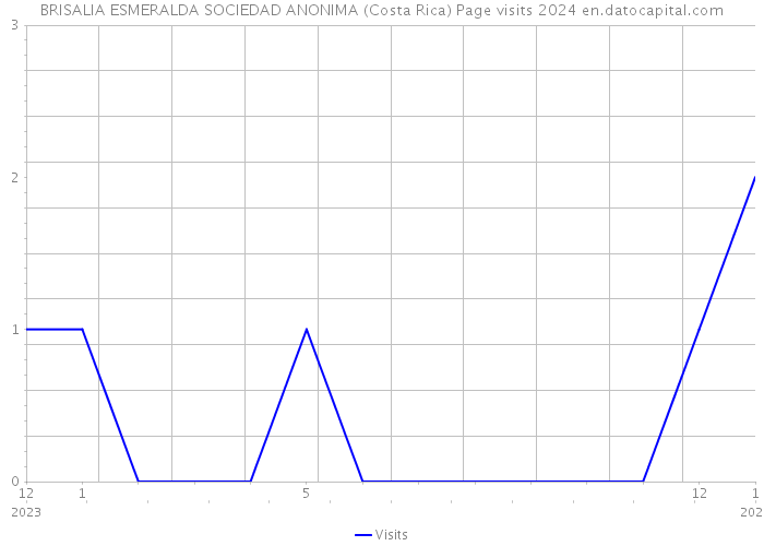 BRISALIA ESMERALDA SOCIEDAD ANONIMA (Costa Rica) Page visits 2024 