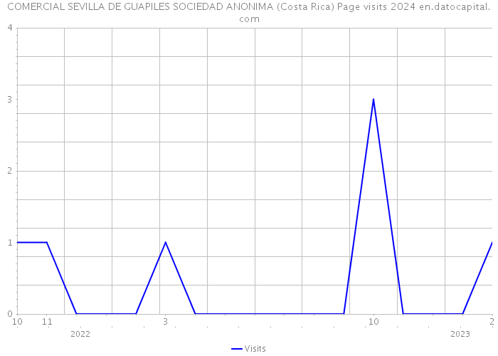 COMERCIAL SEVILLA DE GUAPILES SOCIEDAD ANONIMA (Costa Rica) Page visits 2024 