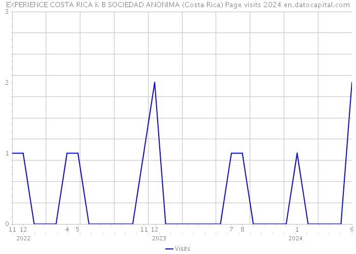 EXPERIENCE COSTA RICA K B SOCIEDAD ANONIMA (Costa Rica) Page visits 2024 
