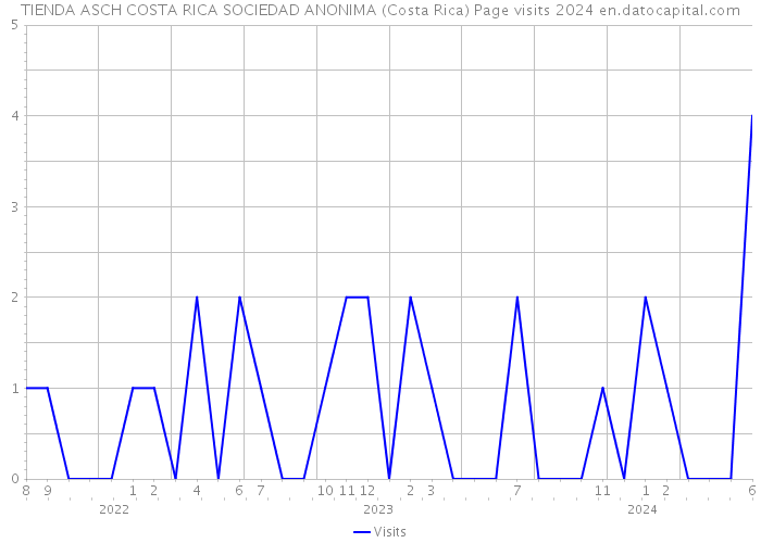 TIENDA ASCH COSTA RICA SOCIEDAD ANONIMA (Costa Rica) Page visits 2024 