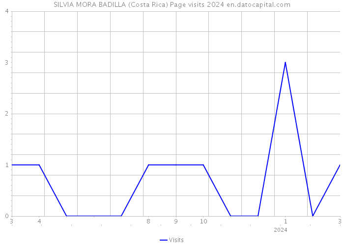 SILVIA MORA BADILLA (Costa Rica) Page visits 2024 