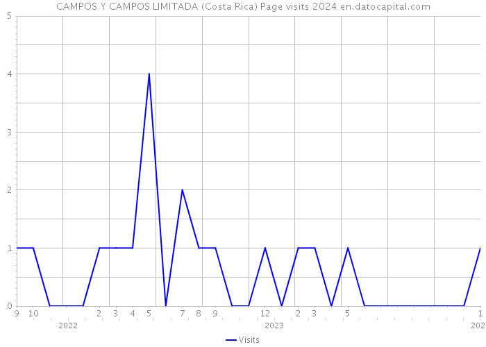 CAMPOS Y CAMPOS LIMITADA (Costa Rica) Page visits 2024 