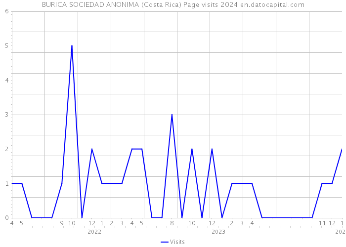 BURICA SOCIEDAD ANONIMA (Costa Rica) Page visits 2024 