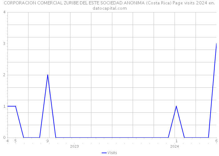 CORPORACION COMERCIAL ZURIBE DEL ESTE SOCIEDAD ANONIMA (Costa Rica) Page visits 2024 