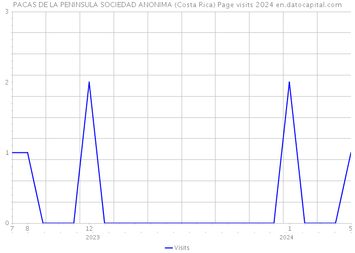 PACAS DE LA PENINSULA SOCIEDAD ANONIMA (Costa Rica) Page visits 2024 