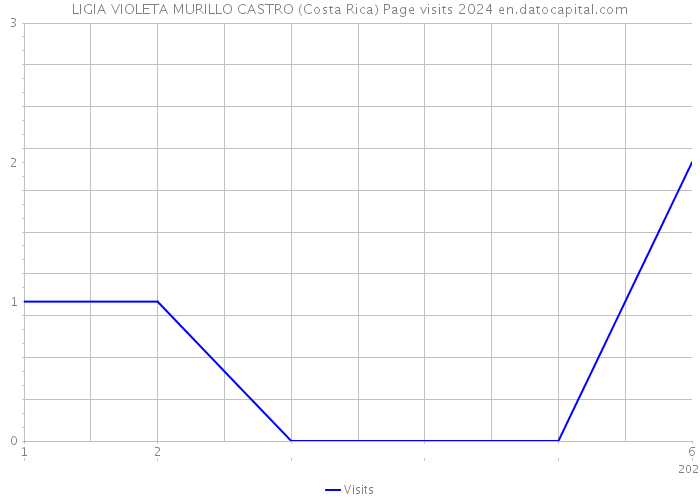 LIGIA VIOLETA MURILLO CASTRO (Costa Rica) Page visits 2024 