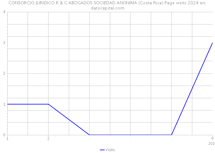 CONSORCIO JURIDICO R & C ABOGADOS SOCIEDAD ANONIMA (Costa Rica) Page visits 2024 