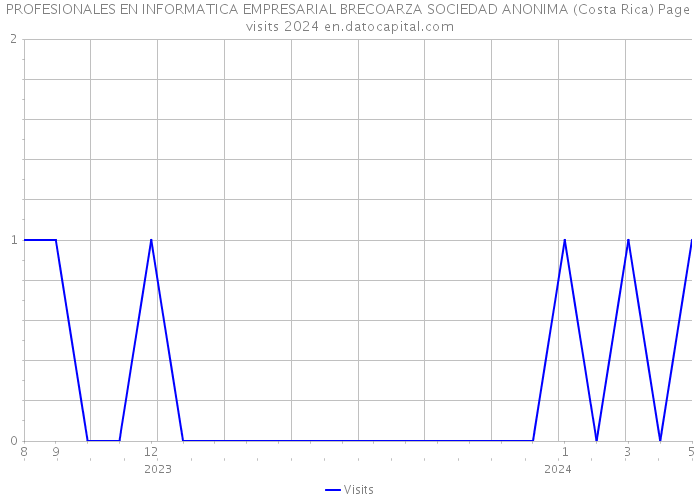PROFESIONALES EN INFORMATICA EMPRESARIAL BRECOARZA SOCIEDAD ANONIMA (Costa Rica) Page visits 2024 