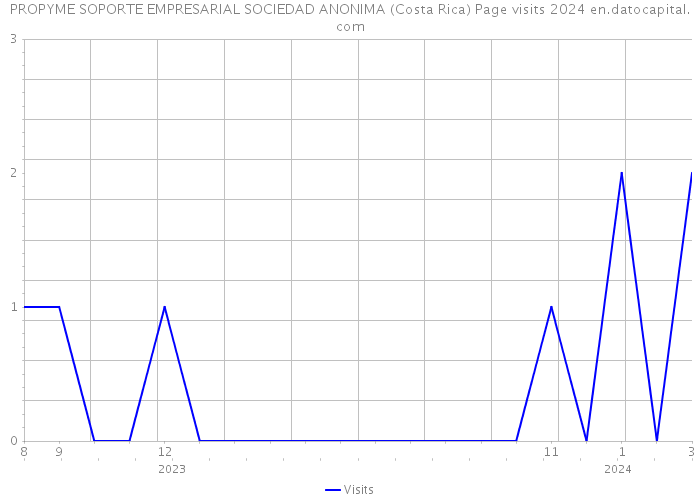 PROPYME SOPORTE EMPRESARIAL SOCIEDAD ANONIMA (Costa Rica) Page visits 2024 