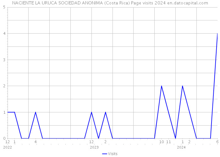 NACIENTE LA URUCA SOCIEDAD ANONIMA (Costa Rica) Page visits 2024 