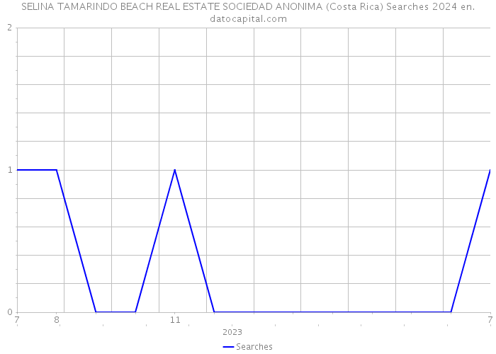 SELINA TAMARINDO BEACH REAL ESTATE SOCIEDAD ANONIMA (Costa Rica) Searches 2024 