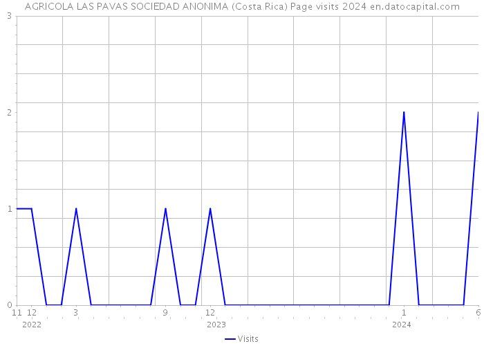 AGRICOLA LAS PAVAS SOCIEDAD ANONIMA (Costa Rica) Page visits 2024 