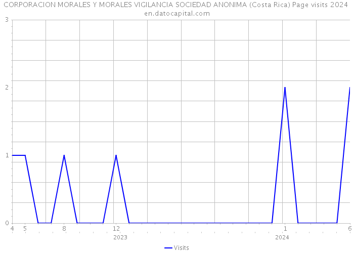 CORPORACION MORALES Y MORALES VIGILANCIA SOCIEDAD ANONIMA (Costa Rica) Page visits 2024 