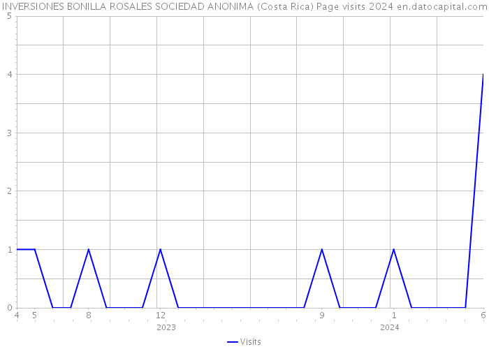INVERSIONES BONILLA ROSALES SOCIEDAD ANONIMA (Costa Rica) Page visits 2024 