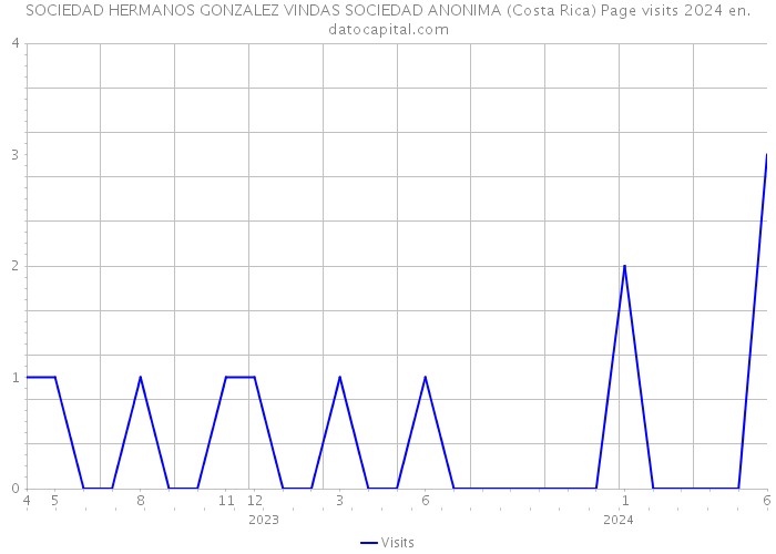 SOCIEDAD HERMANOS GONZALEZ VINDAS SOCIEDAD ANONIMA (Costa Rica) Page visits 2024 