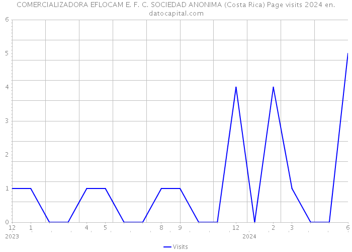 COMERCIALIZADORA EFLOCAM E. F. C. SOCIEDAD ANONIMA (Costa Rica) Page visits 2024 