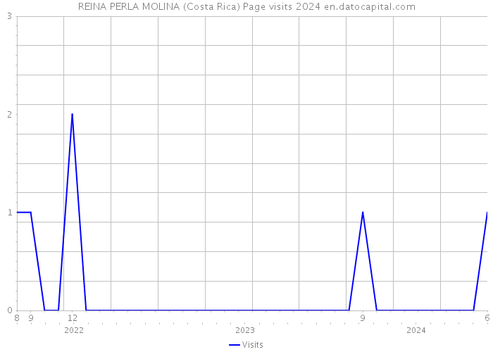 REINA PERLA MOLINA (Costa Rica) Page visits 2024 