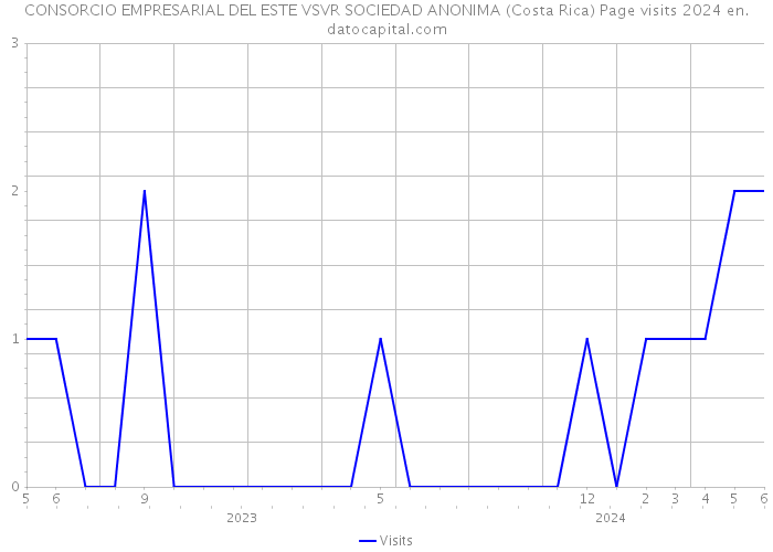 CONSORCIO EMPRESARIAL DEL ESTE VSVR SOCIEDAD ANONIMA (Costa Rica) Page visits 2024 