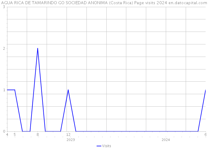 AGUA RICA DE TAMARINDO GO SOCIEDAD ANONIMA (Costa Rica) Page visits 2024 