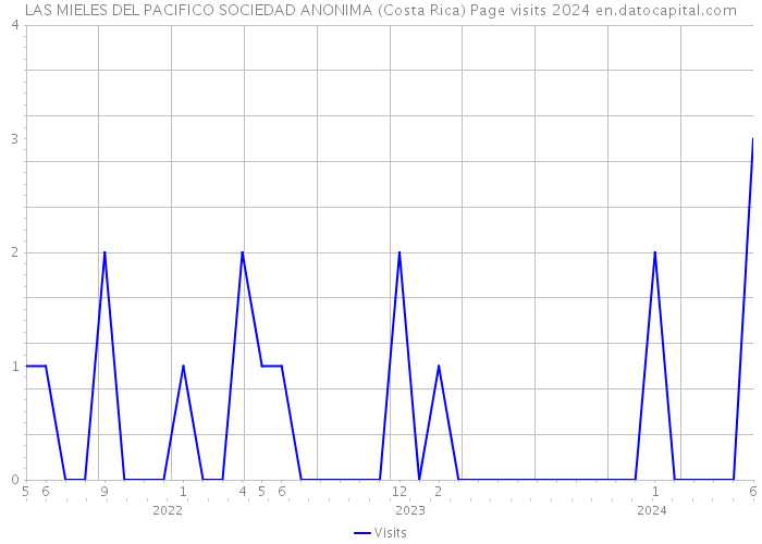 LAS MIELES DEL PACIFICO SOCIEDAD ANONIMA (Costa Rica) Page visits 2024 