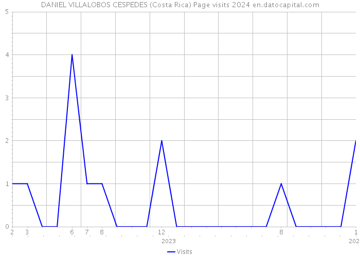 DANIEL VILLALOBOS CESPEDES (Costa Rica) Page visits 2024 