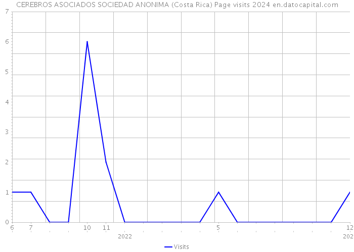 CEREBROS ASOCIADOS SOCIEDAD ANONIMA (Costa Rica) Page visits 2024 