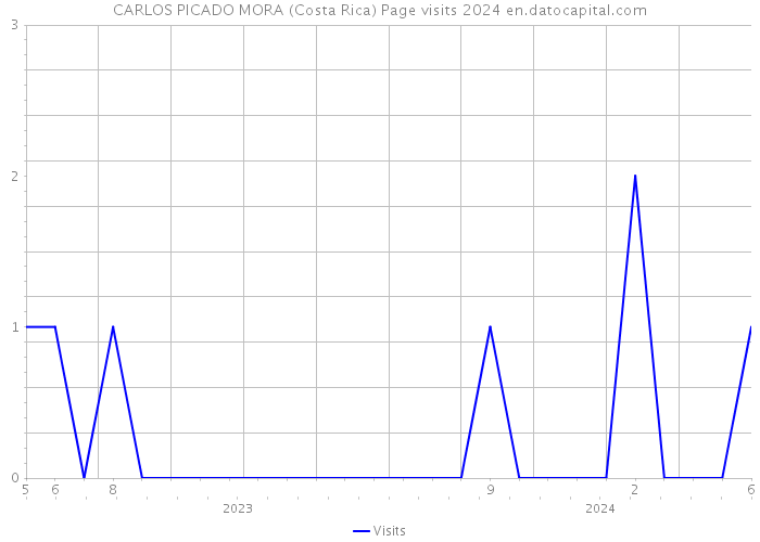CARLOS PICADO MORA (Costa Rica) Page visits 2024 