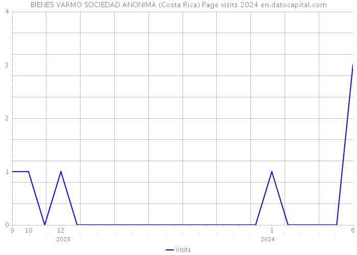 BIENES VARMO SOCIEDAD ANONIMA (Costa Rica) Page visits 2024 