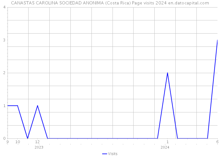 CANASTAS CAROLINA SOCIEDAD ANONIMA (Costa Rica) Page visits 2024 