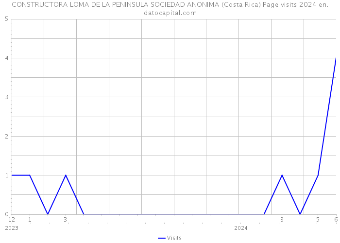 CONSTRUCTORA LOMA DE LA PENINSULA SOCIEDAD ANONIMA (Costa Rica) Page visits 2024 