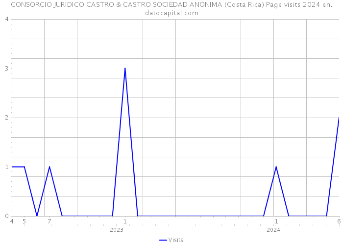 CONSORCIO JURIDICO CASTRO & CASTRO SOCIEDAD ANONIMA (Costa Rica) Page visits 2024 