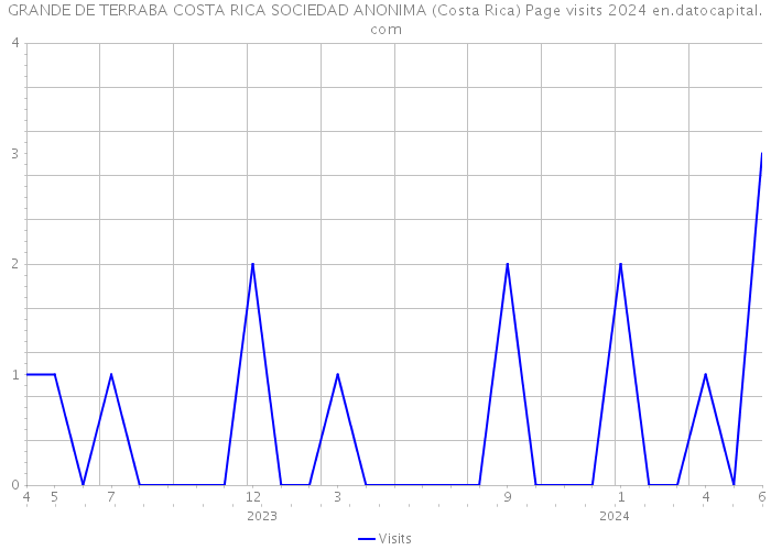 GRANDE DE TERRABA COSTA RICA SOCIEDAD ANONIMA (Costa Rica) Page visits 2024 