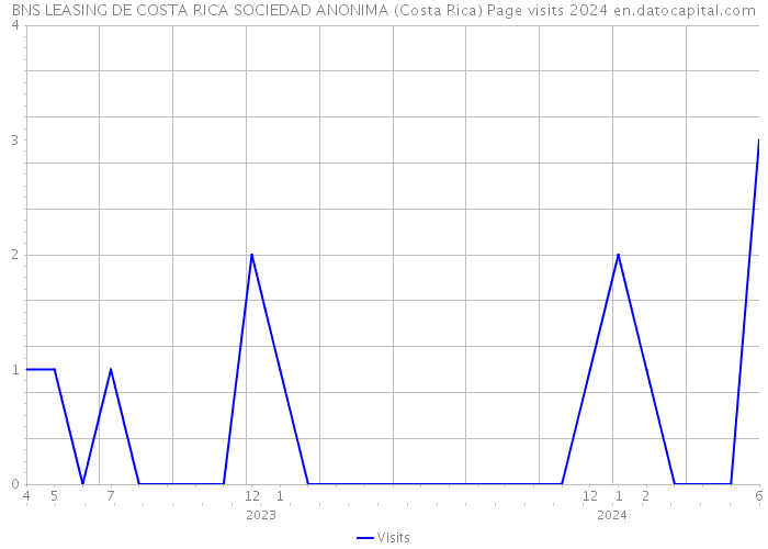 BNS LEASING DE COSTA RICA SOCIEDAD ANONIMA (Costa Rica) Page visits 2024 