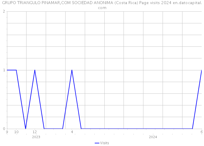 GRUPO TRIANGULO PINAMAR,COM SOCIEDAD ANONIMA (Costa Rica) Page visits 2024 