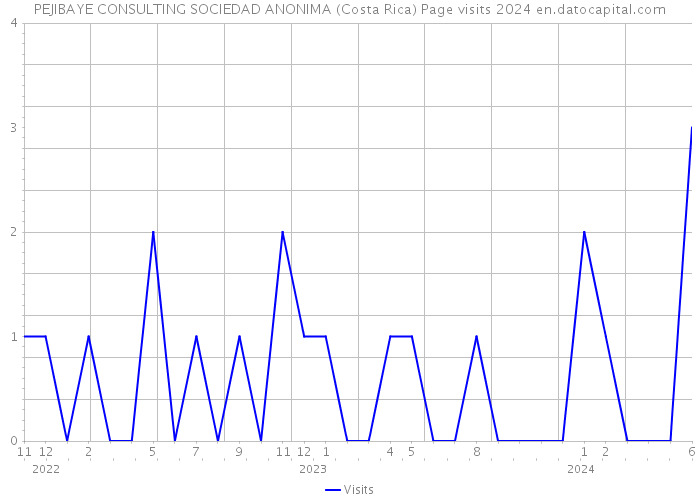 PEJIBAYE CONSULTING SOCIEDAD ANONIMA (Costa Rica) Page visits 2024 