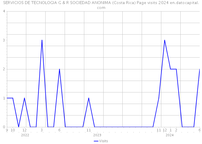 SERVICIOS DE TECNOLOGIA G & R SOCIEDAD ANONIMA (Costa Rica) Page visits 2024 