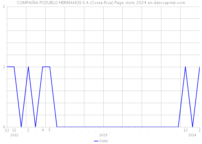 COMPAŃIA POZUELO HERMANOS S A (Costa Rica) Page visits 2024 
