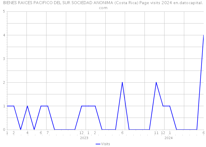 BIENES RAICES PACIFICO DEL SUR SOCIEDAD ANONIMA (Costa Rica) Page visits 2024 