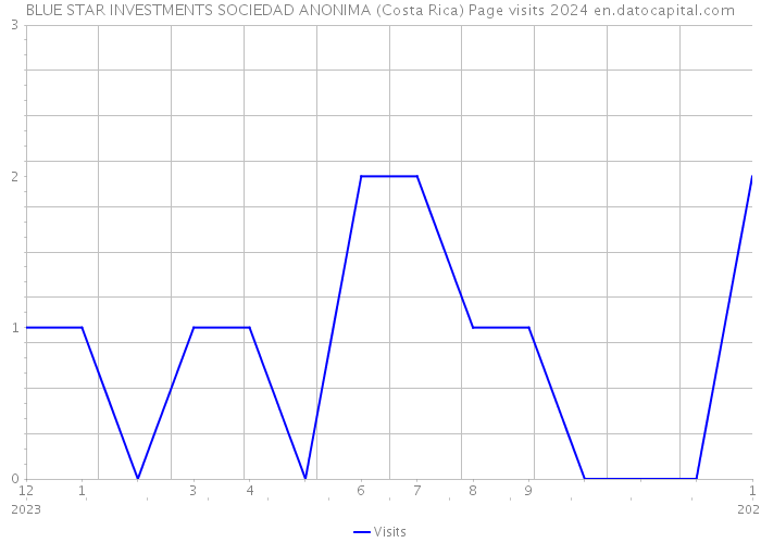 BLUE STAR INVESTMENTS SOCIEDAD ANONIMA (Costa Rica) Page visits 2024 