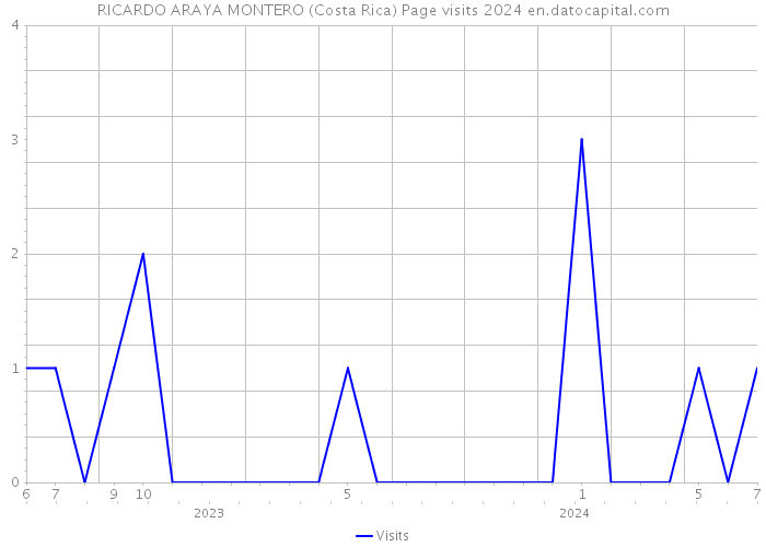 RICARDO ARAYA MONTERO (Costa Rica) Page visits 2024 