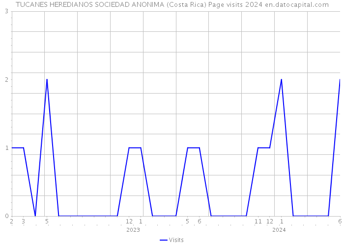 TUCANES HEREDIANOS SOCIEDAD ANONIMA (Costa Rica) Page visits 2024 