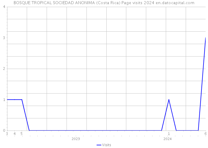 BOSQUE TROPICAL SOCIEDAD ANONIMA (Costa Rica) Page visits 2024 