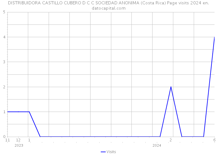 DISTRIBUIDORA CASTILLO CUBERO D C C SOCIEDAD ANONIMA (Costa Rica) Page visits 2024 