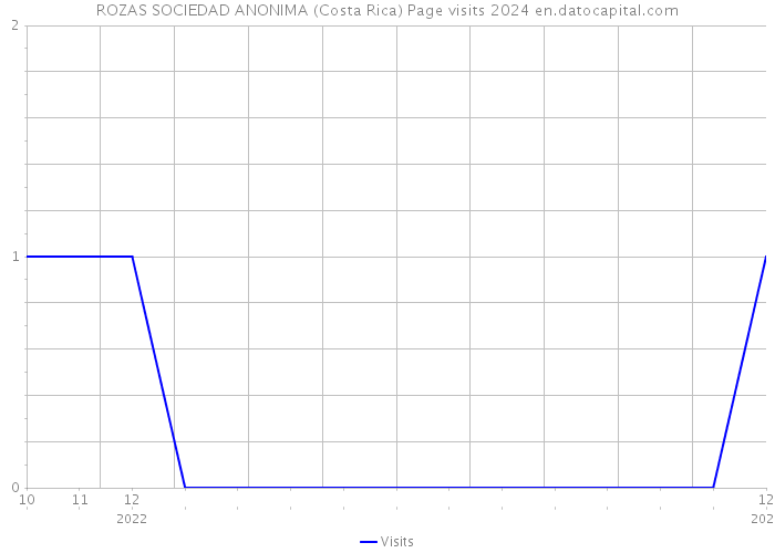 ROZAS SOCIEDAD ANONIMA (Costa Rica) Page visits 2024 